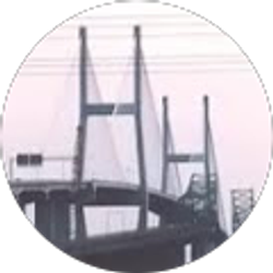 Profile photo of Carol Devine