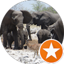 Profile photo of Michael Baird