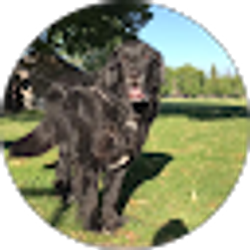 Profile photo of Annalisa Colley
