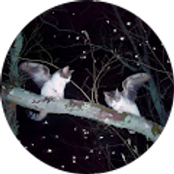 Profile photo of gia