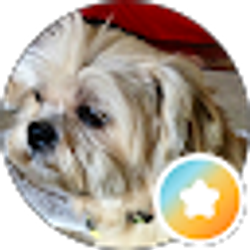 Profile photo of Tammie Dighero-Hefner