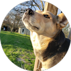 Profile photo of purplehippyweaverpotter chick