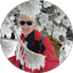 Profile photo of Liz Wise