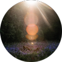 Profile photo of Rachel Hughes