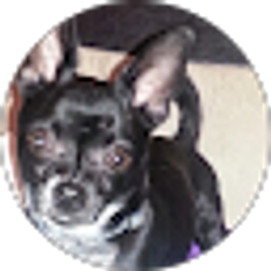 Profile photo of Julia Benedict