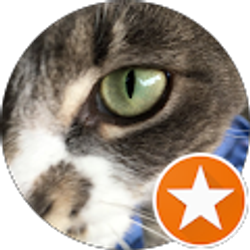 Profile photo of yen