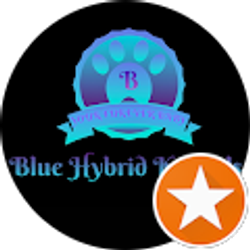 Profile photo of Nikki G