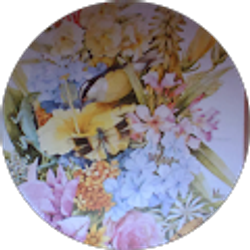 Profile photo of Paige Gotterer