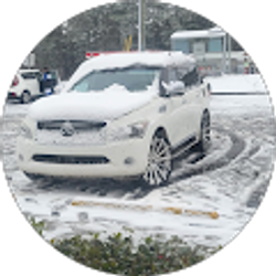 Profile photo of Jorge C