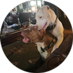 Profile photo of Danny Williams