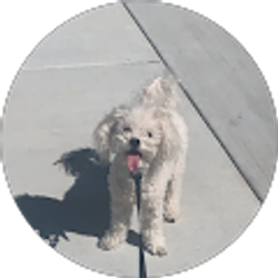 Profile photo of Caiden