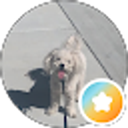 Profile photo of Caiden