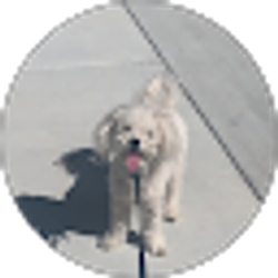 Profile photo of Caiden