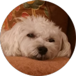 Profile photo of laura coslet