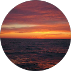 Profile photo of Nancy Brislin