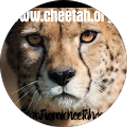 Profile photo of Michael Thomsen