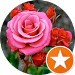 Profile photo of kentuckyangel1978