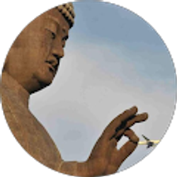 Profile photo of Renny Ball