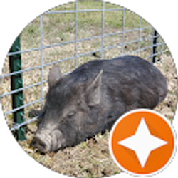 Profile photo of Gwoody The Diabetic Farmer