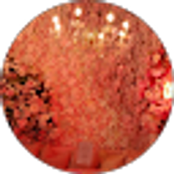 Profile photo of Gabriella B