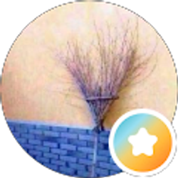 Profile photo of Lewis