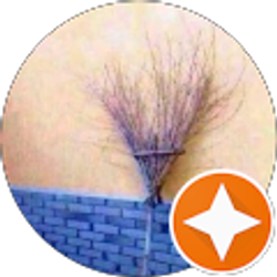 Profile photo of Lewis