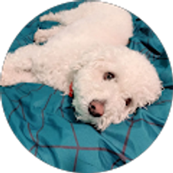 Profile photo of Linda Rodriguez