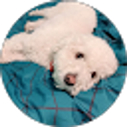 Profile photo of Linda Rodriguez