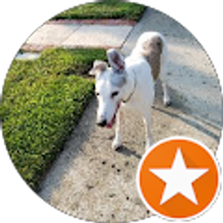 Profile photo of S W