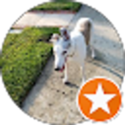 Profile photo of S W