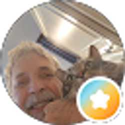 Profile photo of Marvin Buente