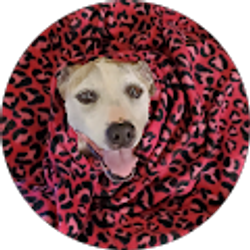 Profile photo of Brian R. Morris