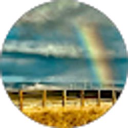 Profile photo of Rachel Alban