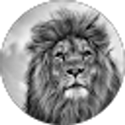 Profile photo of Eduardo Álvarez