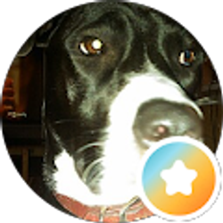 Profile photo of Patchy S