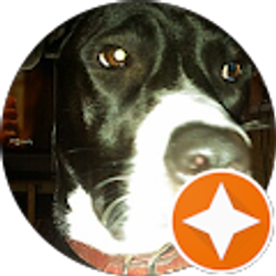 Profile photo of Patchy S