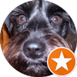 Profile photo of Karen Kenny