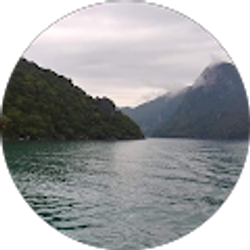 Profile photo of priscilla ortiz