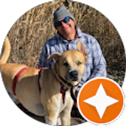 Profile photo of Pasquale Cicarella