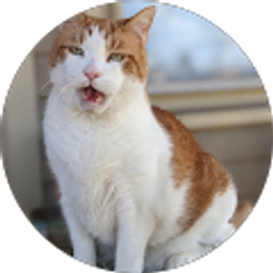 Profile photo of Michael Cosgrove