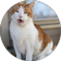 Profile photo of Michael Cosgrove