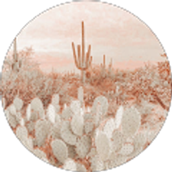 Profile photo of Emily Dugger