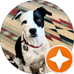 Profile photo of A Mielke