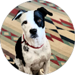 Profile photo of A Mielke