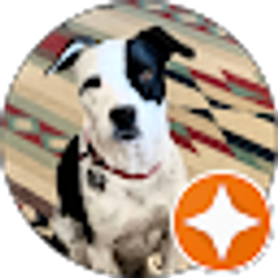 Profile photo of A Mielke