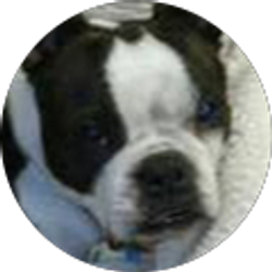 Profile photo of Suzanne