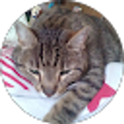 Profile photo of Evelyn Thomas