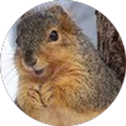 Profile photo of C M