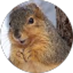Profile photo of C M