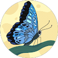 Profile photo of Shelby H